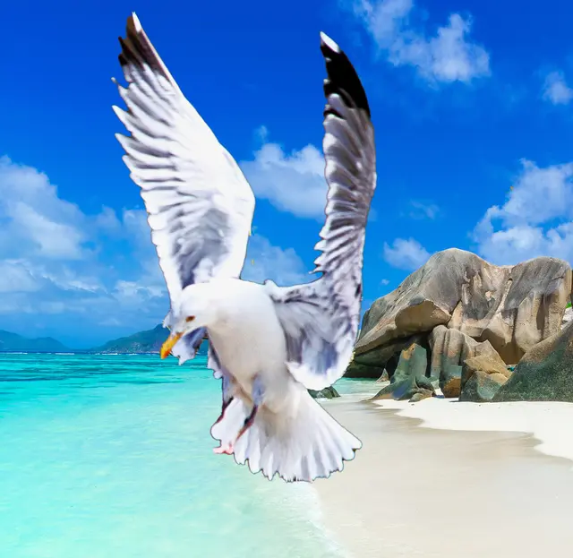 Hintergrund ausgewechselt..