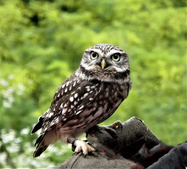 Bin der Meinung, es sieht in der Auswechselung, besser aus