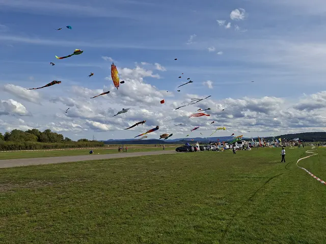 Teufel, Haie, Fledermäuse und zahlreiche andere Figuren schwebten am Himmel auf dem Ammerbrucher Drachenfest (BW) am vergangenen Wochenende. Jetzt kann der Herbst kommen.