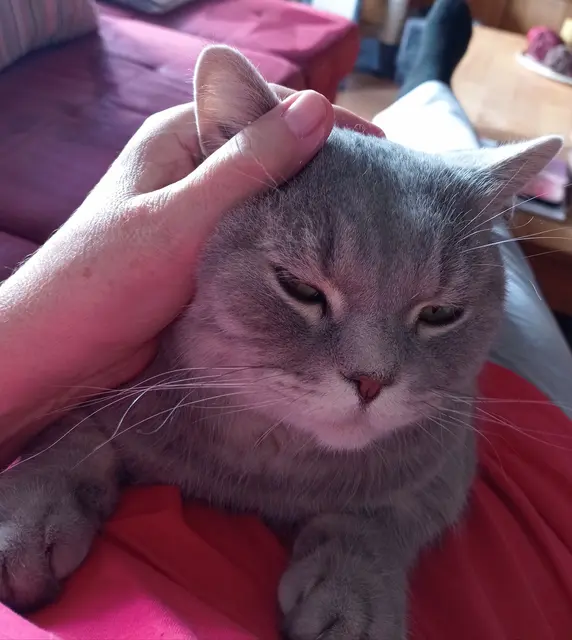 Mein kleiner Seelentröster 🥰