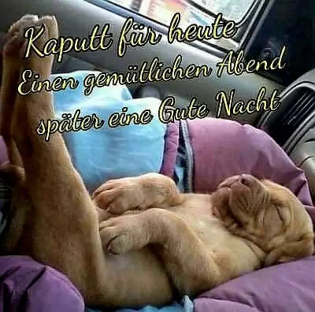 WhatsApp Gruß erhalten. 