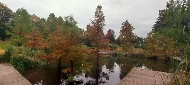 Der Waldsee/Gruga im Oktober 