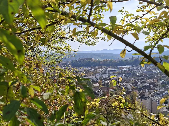 Das Schloss Hohentübingen thront hoch über der Altstadt. Gerade im Herbst bieten die Wälder in der Umgebung ein schönes Farbenspiel der Blätter.  | Foto: Patrick Jost