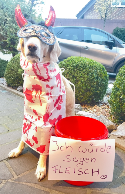 Der Metzger steht vor der Tür 👻🎃😳