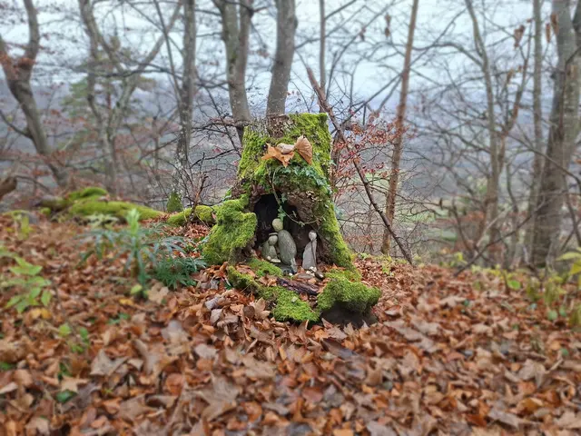 Eine kleine Naturkrippe beim Aufstieg auf den Gräfelesberg (Albstadt/BW). | Foto: Patrick Jost