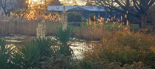 Wassergarten / Gruga, im Hintergrund das Kurhaus 
