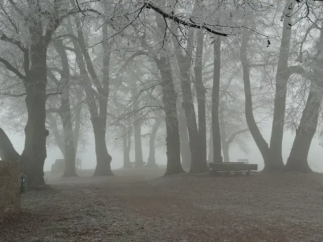 Kälte und Nebel trafen am Wochende auf der Burruine Hohenstaufen bei Göppingen aufeinander. Das sorgte für eine wunderschöne Atmosphäre. 