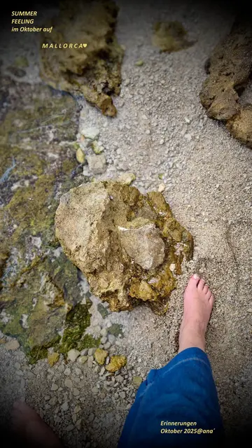 Noch vor sieben, acht  Wochen ungefähr ...
genoss ich das warme Mittelmeer ...
smile

Erinnerungen, nun, Ende November, 
an eine kleine Mallorca Reise ...
Anfang Oktober ♥

seufz´


Oktober 2025@ana´