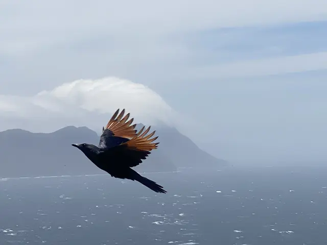 Ich wollte den Berg fotografieren. Und dann sehe ich das. Wirklich ein Schnappschuss  | Foto: Umbehaue 