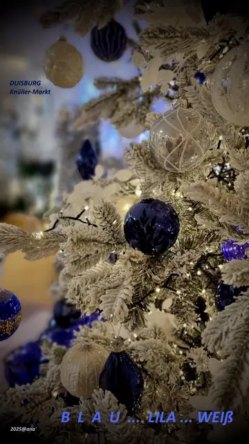 ... noch einmal DUISBURG
Weihnachtsdekorationen fast aller 
(vor allem günstigen) Arten.... !

Blaue-Lila-Schwarz-Silber-Weiß ---- Töne....
finde ich spannend, ...zum klassischen 
(Tannen-) GRÜN-ROT 

2025@ana´

spontan