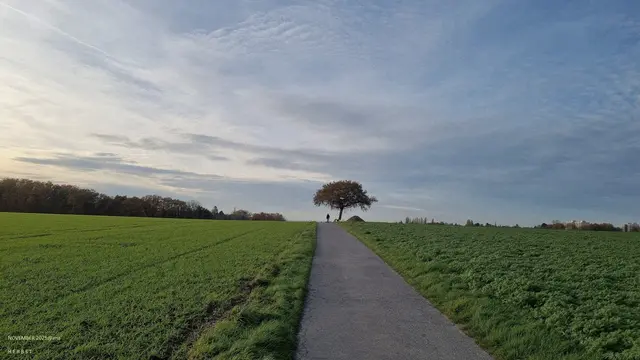 Herbstlich-entspannte Spaziergänge
Wohltuende, erklärende, tröstende Gespräche
Berührende und zufriedenstellende Naturschönheiten...
einfach mal´ "piano" in der Freizeit 
der eigenen F R E I E N  ZEIT ♥
...gelassen, in Ruhe .... unterwegs sein♥

November 2025@ana´

