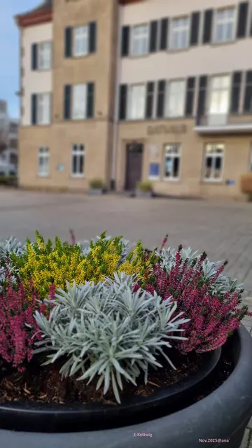  einmal mehr der etwas 
andere, dezent-schiefe´ BLICK ... auf diese meine Umwelt :-))))

Hier bin ich in Essen Kettwig unterwegs...
am (Alten) Rathaus ....

November 2025@ana´