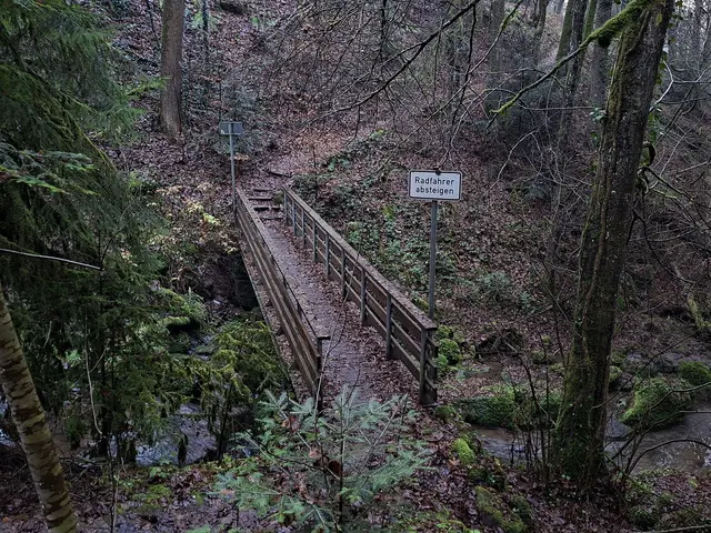 Wer es ohne absteigen schaffen sollte,...Hut ab! | Foto: Patrick Jost