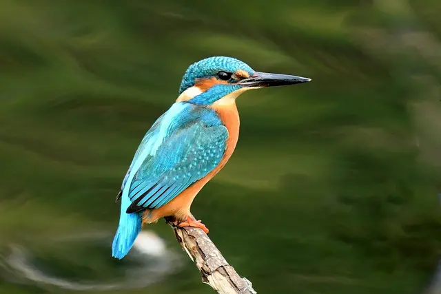 Schönes Wochenende R.G | Foto: Copyright Andreas Schäfer