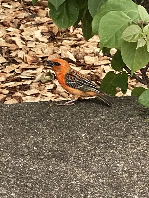 Wer hüpft denn da? | Foto: Umbehaue 