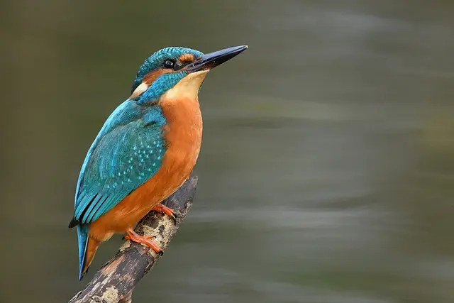 Ich möchte darauf hinweisen, dass meine Fotografien urheberrechtlich
geschützt sind, und ohne mein schriftliches Einverständnis nicht verwendet
oder auf andere Plattformen verlinkt werden dürfen.

Copyright Andreas Schäfer | Foto: Copyright Andreas Schäfer