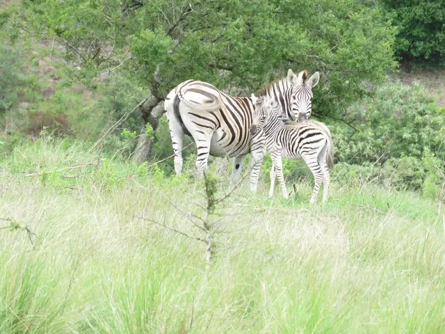 Ausflug mit Mama. Schön dich zu treffen. | Foto: umbehaue