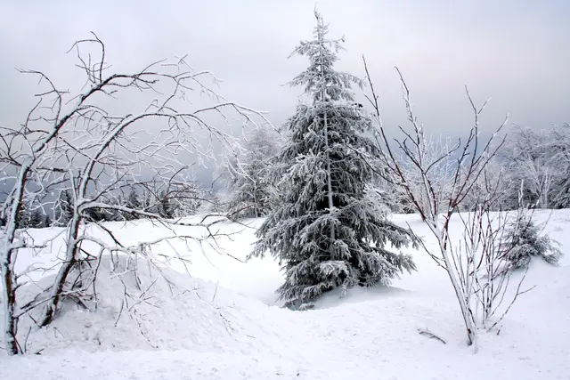 Die Aufnahme stammt vom Schauinsland bei Freiburg aus einer Zeit, wo Winter noch Winter waren. Aber wer weiß, es soll ja kälter werden.