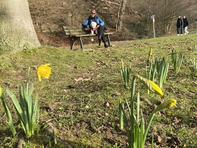 Habe ich da eine neue Spezies entdeckt ? Die Weihnachtsglocke? Bild ist vom 21.12.2025 am Baldeneysee in Heisingen.  | Foto: Umbehaue 