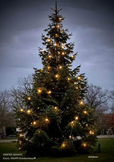 ... eh´ ich mich versah, schrieben wir den 
VIERTEN ADVENT!
Heute schon, so rasch verging die Zeit,
ist bereits der 4.Advent 2025!
In nur drei TAGEN ist Heiligabend!
AU MANN... und ich ... bin zwar schon ein wenig in Weihnachtsstimmung und FREUE  mich dieses Jahr gaaaaanz´ besonders auf das FEST, ... doch werde ich in meinen Vorbereitungen gerade ein wenig ausgebremst ... 
daher habe und hatte ich auch so gut wie KEINE Zeit für den Lokalkompass!

:-(

Dennoch, hoffe ich, Ihr hattet alle einen 
geruhsamen VIERTEN Advent :-)

Dezember 2025
Baum vor dem Alfred-KRUPP-Krankenhaus 
in Essen-Rüttenscheid
@ana´
