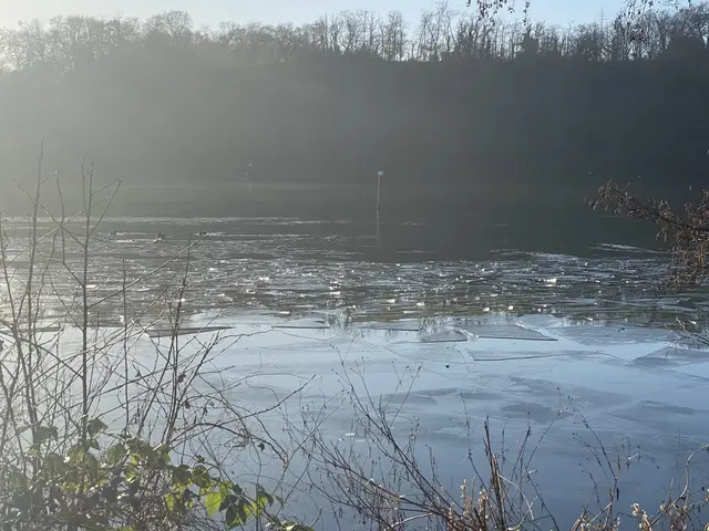 Drei kalte Tage und die ersten Eisschollen sind auf dem Baldeneysee.  | Foto: Umbehaue 