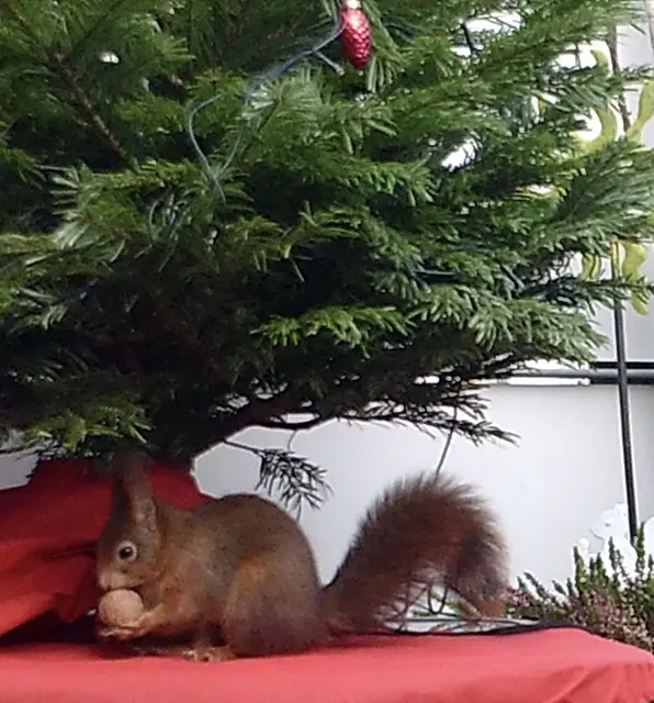 Da habe ich wohl den Geschmack des Gastes getroffen. | Foto: umbehaue
