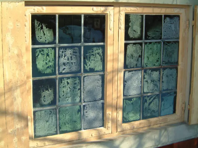 Fast ausgestorben aber jetzt kann man sie wieder entdecken und vielleicht auch selber züchten, die Eisblumen.  | Foto: Umbehaue 