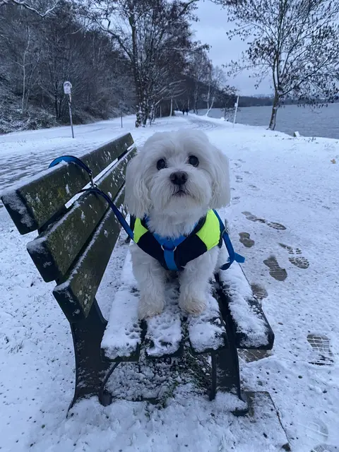 Komisch die Welt sieht so aus wie ich | Foto: Umbehaue 