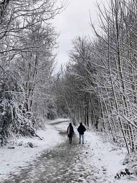 Winterwonderland Essen. Die grüne Lunge ist jetzt weiß.  | Foto: Umbehaue 