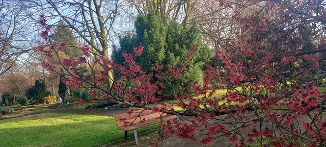 Gesehen auf dem Terrassenfriedhof Schönebeck 