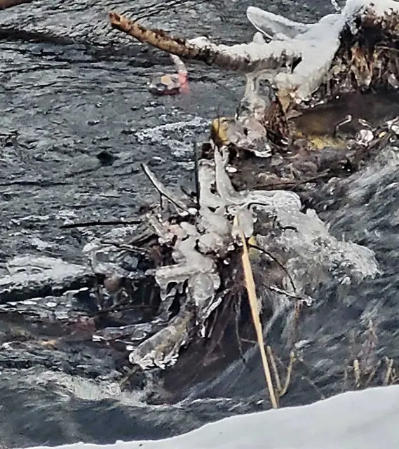 Foto:
Angelika Maier 