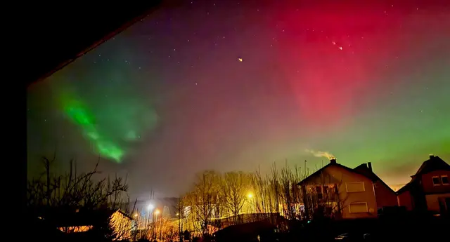 Das Foto hat mir mein Schwiegerenkel 
über WhatsApp  geschickt.