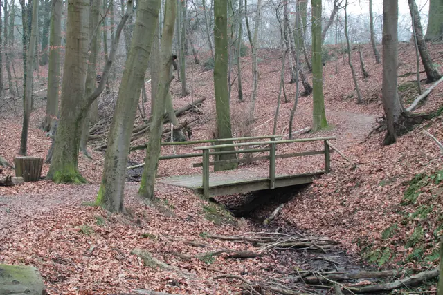 Ja Leute, der Schnee ist erst mal weg.
Aber wer weiß ob nicht noch ein Nachschlag kommt.
Ich rate erst mal das schöne Wetter nutzen, spazieren gehen ist jetzt sehr gesund !
Viel Erfolg dabei !!!