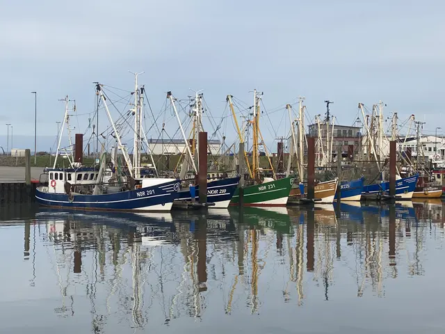 Stimmung bei vollkommener Ruhe im Januar  | Foto: Umbehaue 