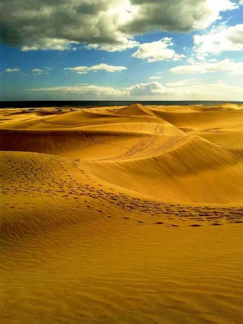 Kleiner Rückblick Maspalomas...