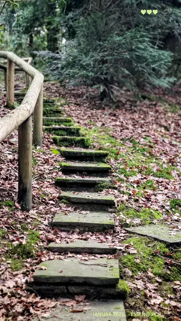 ...ein alter, ziemlich "verlassener" 
vernachlässigter Bereich eines Essener´ Friedhofs´...

irgendwie verwunschen ♥♥♥

Schönen ABEND
Januar 2026@ana´