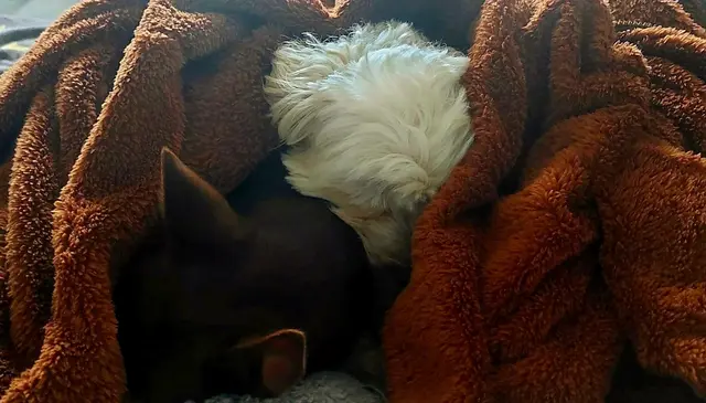 Foto:
Angelika Maier. 