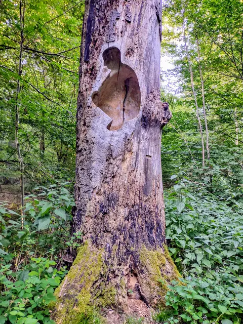 Horst Rainer Kerger, 2008 (Kunstakademie Düsseldorf) | Foto: JH