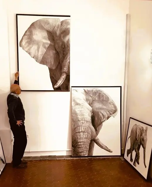 Hohe Räume für Elefanten in der Villa Artis Mülheim
Hier Hängung von Kohlezeichnungen des Künstlers Herbert Siemandel Feldmann im Jahr 2015
2026 lautet das Jahresthema "Elefant im Porzellanladen !?" Der Open Call für die Teilnahme läuft noch bis 31.März 2026 | Foto: Mülheimer Kunstverein KKRR
