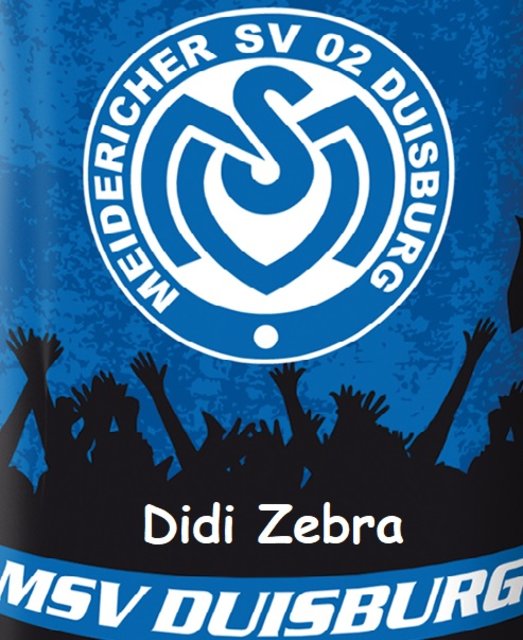 Msv Duisburg Portal Msv Duisburg Portal